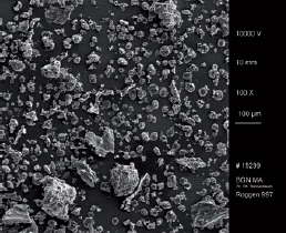 Abb. 4a: Roggen-Backmehl Type 997 im Rasterelektronenmikroskop
