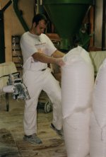 Foto: Umsetzen von Ksten