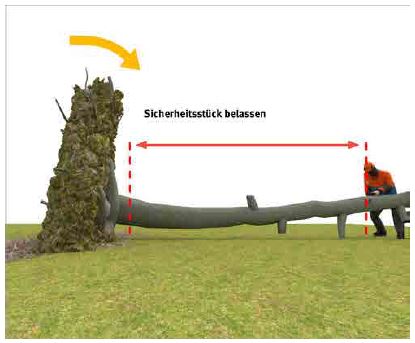 Abb. 102 Sicherung durch Sicherheitsstck