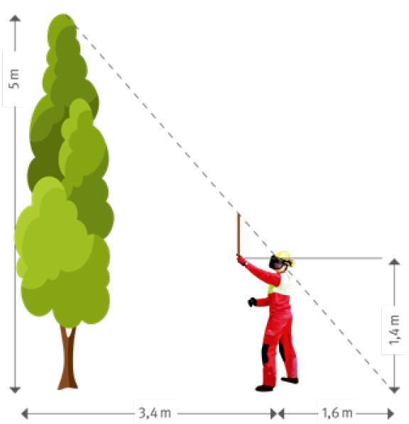 Abb. 92 Baumhhenabschtzung
