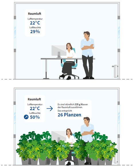 Abb. 7 Erh�hung der Luftfeuchte durch Pflanzen in einem B�ro mit 20 m<sup>2</sup> Grundfl�che und 2,7 m Raumh�he.