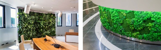 Abb. 9 Beispiele f�r vertikale Innenraumbegr�nung