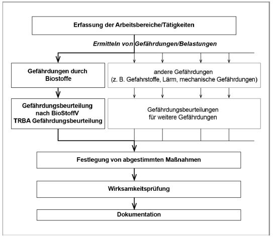 Abb.1: Gefhrdungen durch Biostoffe als Teil der Beurteilung der Arbeitsbedingungen nach  5 ArbSchG