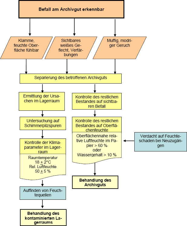 Ablaufschema zur Ermittlung von Schimmelpilzbefall in Archiven