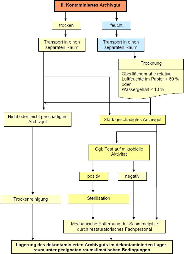 Ablaufschema zur Behandlung des mikrobiell kontaminierten Archivgutes